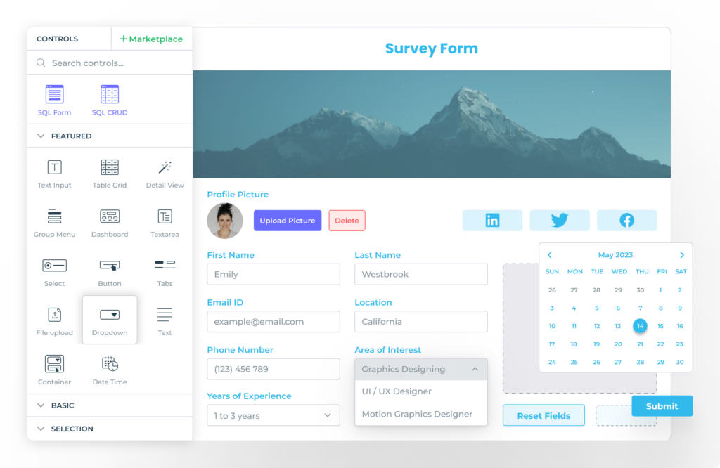 Data Entry Form